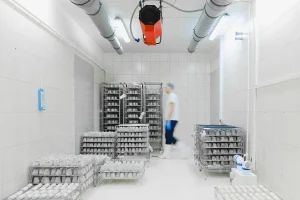 cold-chain